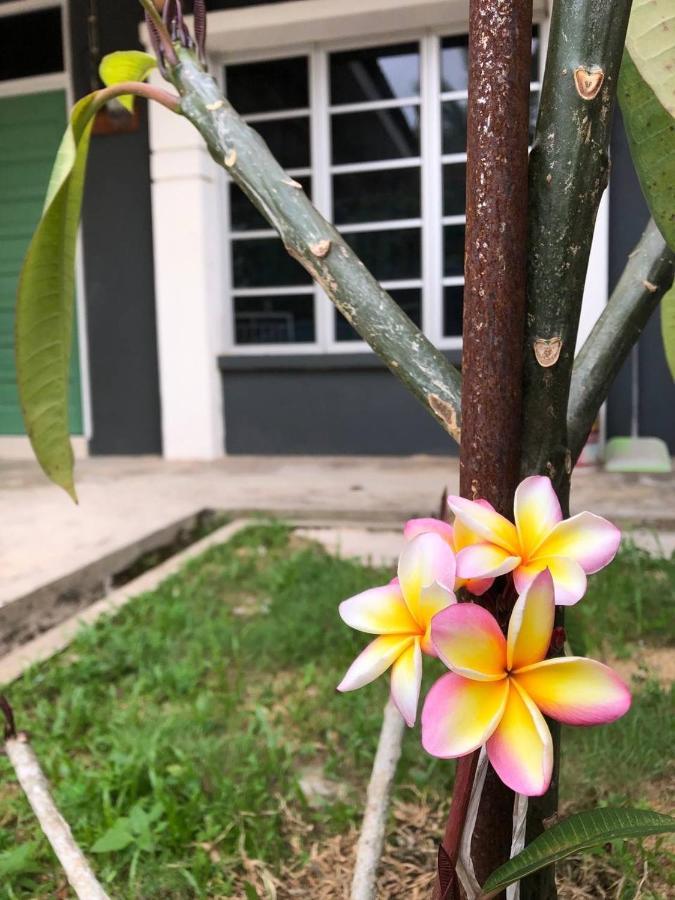 Lungo Guesthouse Kuala Terengganu Kültér fotó